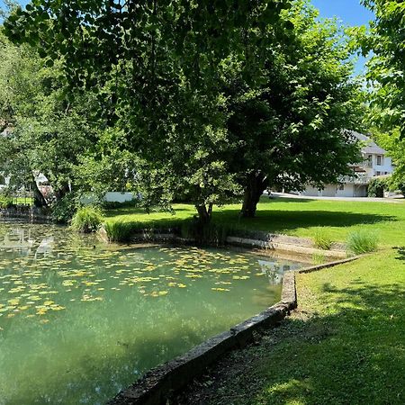 拉克 莱斯小屋酒店 Saint-Alban-de-Montbel 外观 照片
